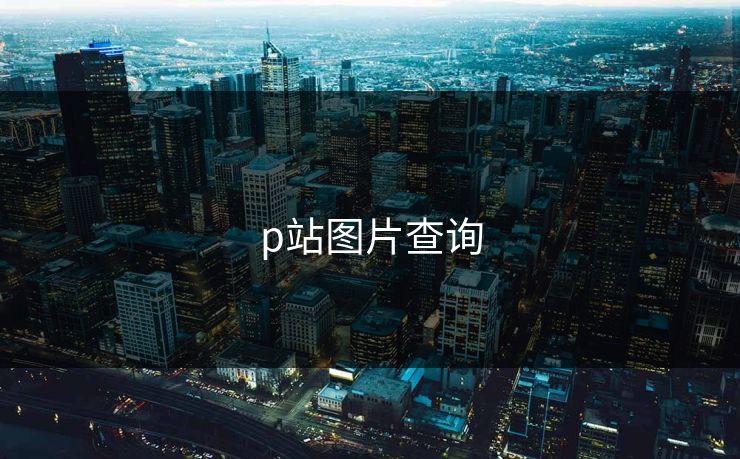 p站图片查询