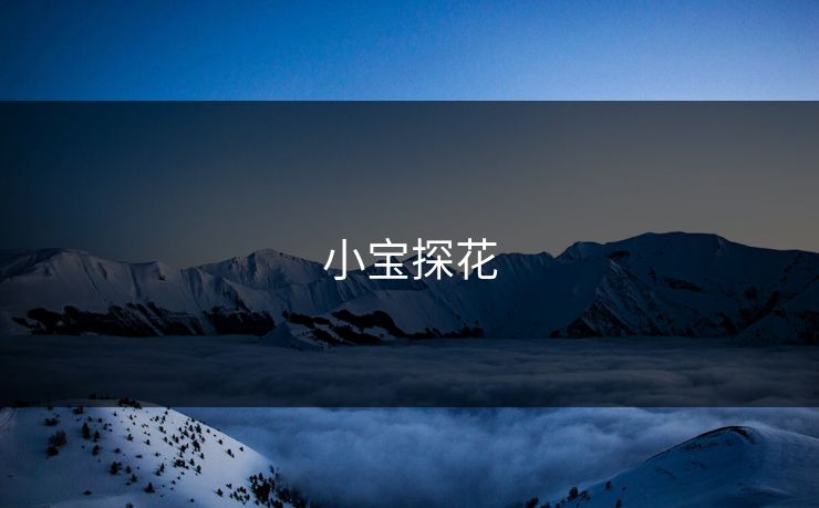 小宝探花