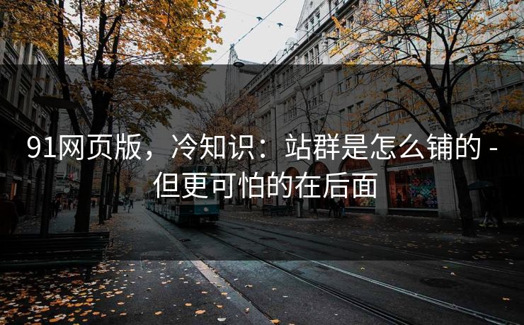 91网页版，冷知识：站群是怎么铺的 - 但更可怕的在后面