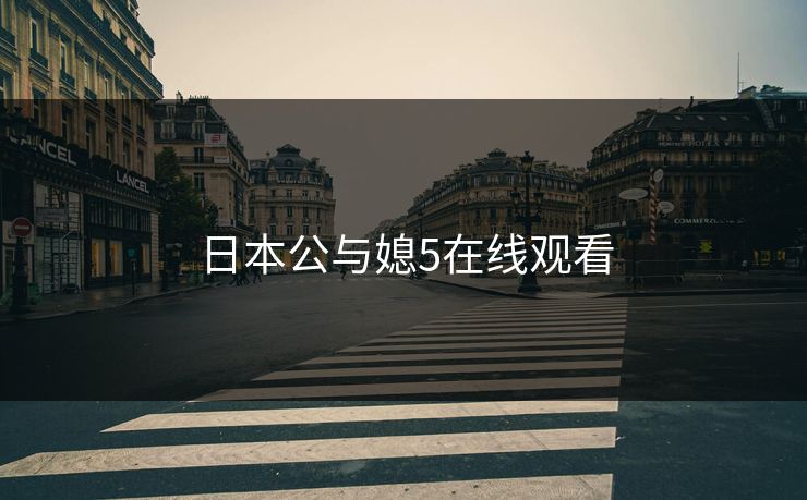 日本公与媳5在线观看