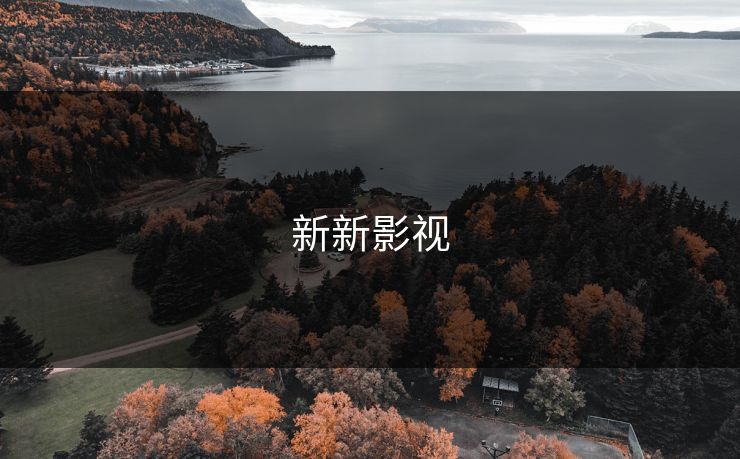 新新影视 新新影视