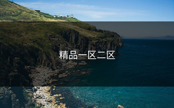 精品一区二区
